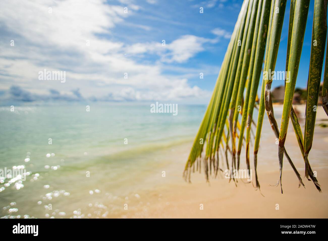Caribbean Dream - plage parfaite avec sable blanc et eau turquoise à Mer des Caraïbes à Playa del Carmen, Mexique Banque D'Images