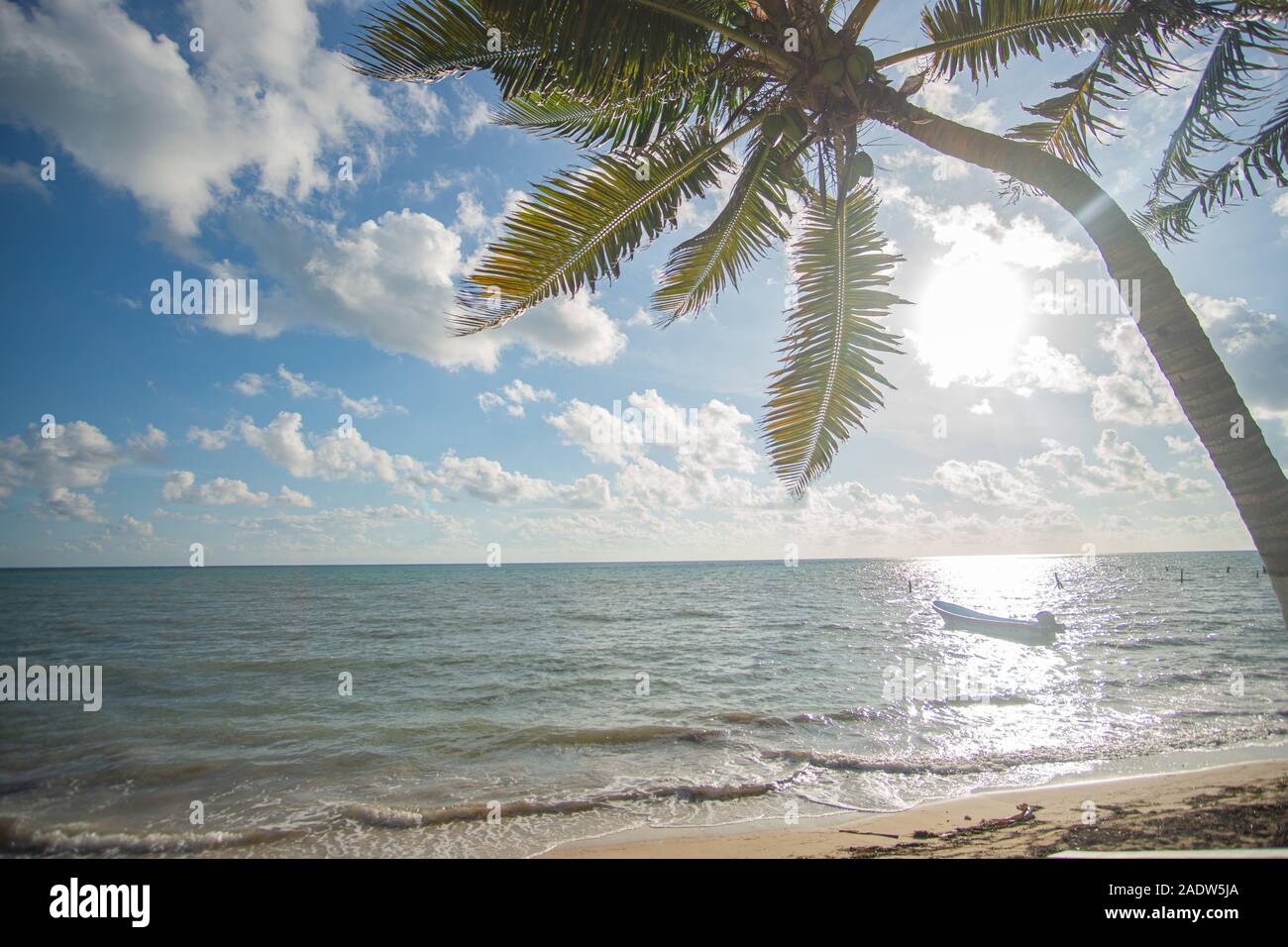 Plage paradisiaque de Punta Allen à la mer des Caraïbes Banque D'Images