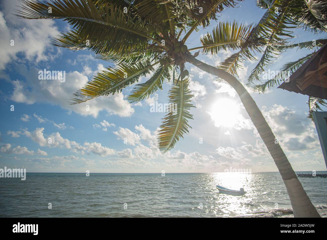 Plage paradisiaque de Punta Allen à la mer des Caraïbes Banque D'Images