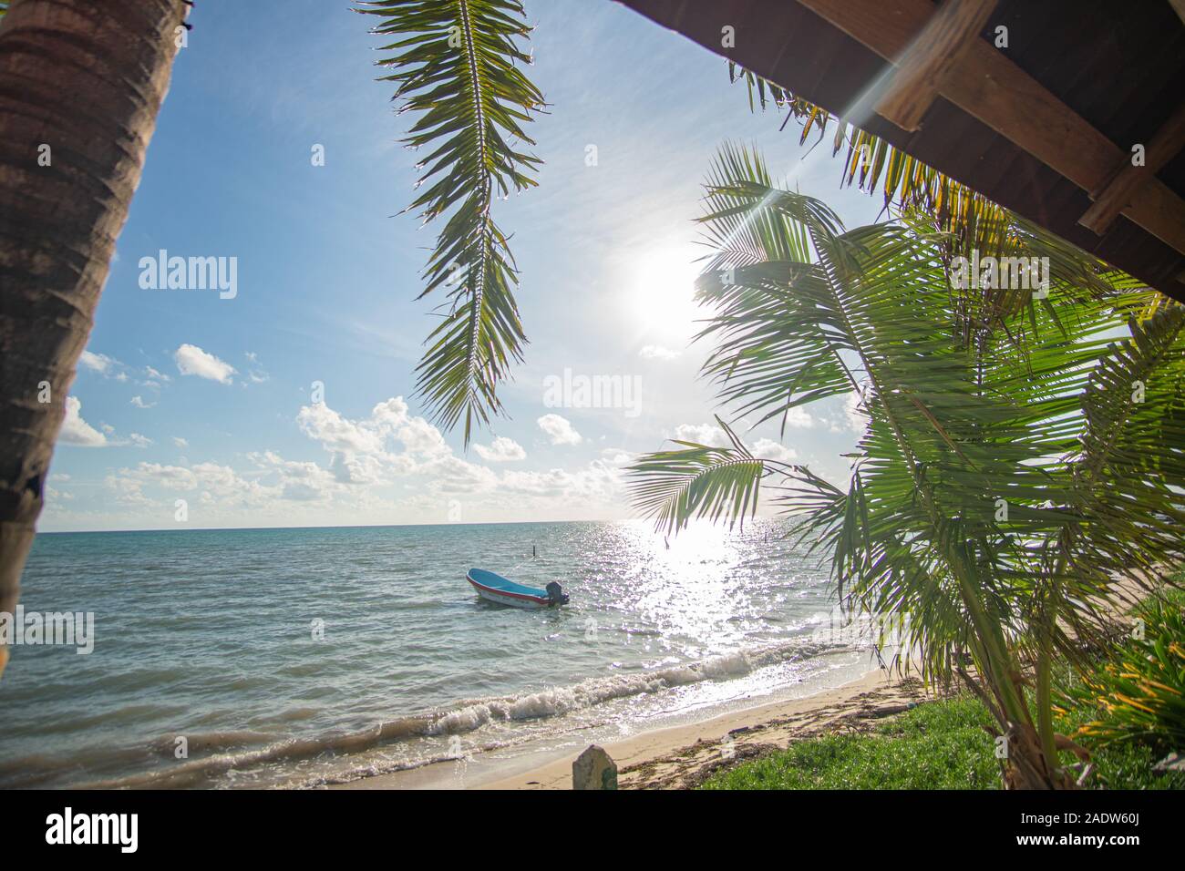 Plage paradisiaque de Punta Allen à la mer des Caraïbes Banque D'Images