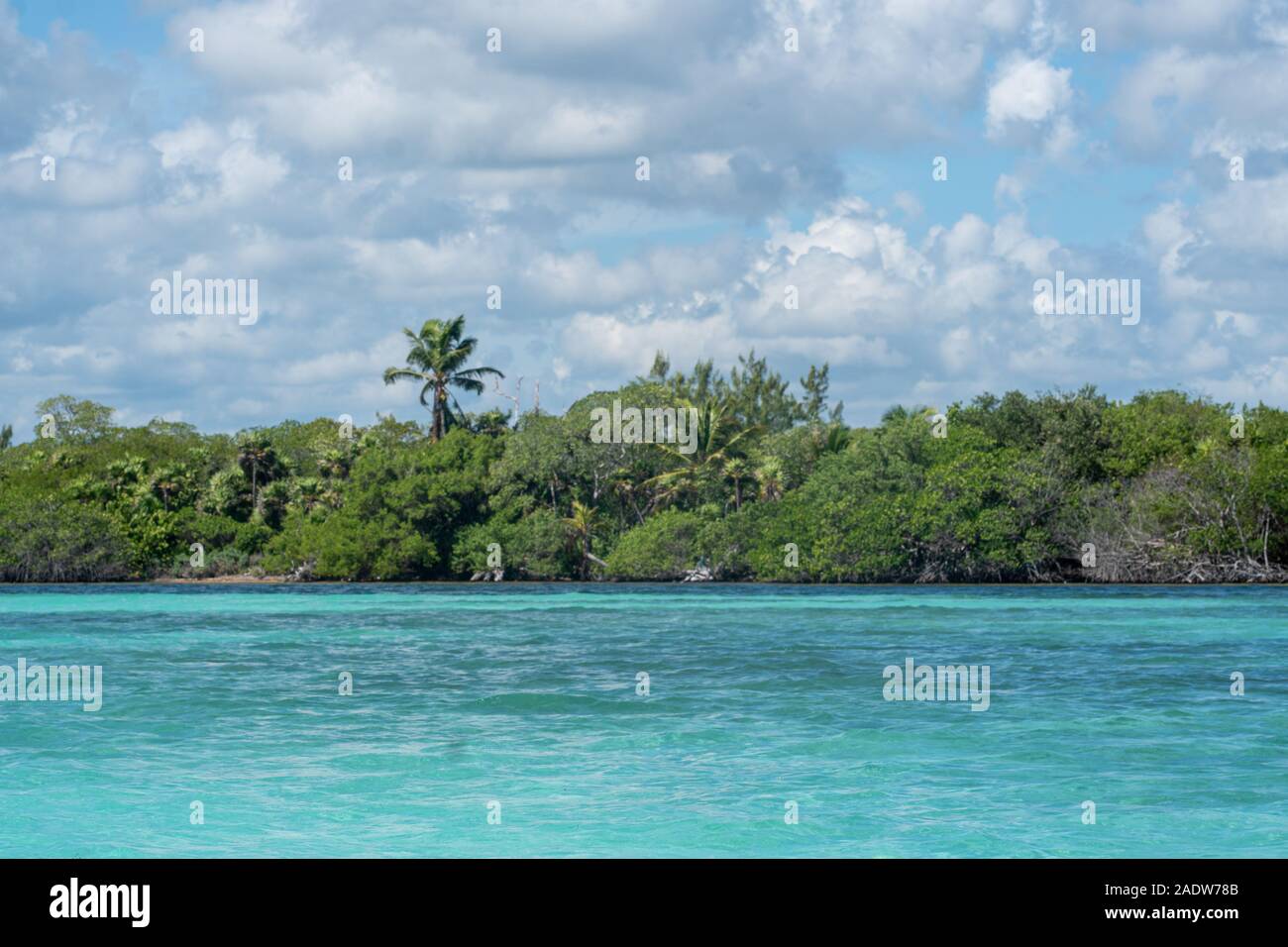 Caraïbes - Rêve de l'eau turquoise au Yucatan Banque D'Images