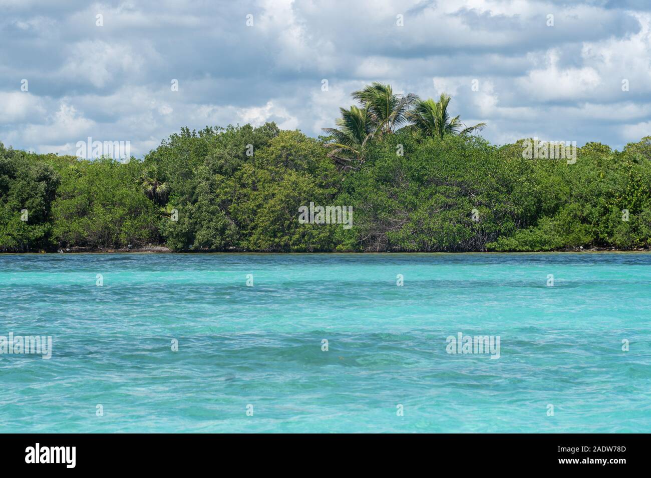 Caraïbes - Rêve de l'eau turquoise au Yucatan Banque D'Images