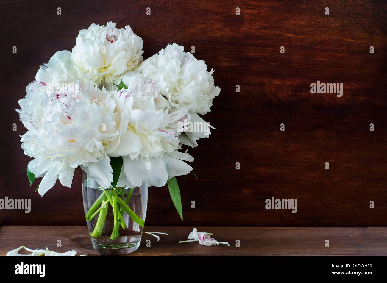 Pivoines Bouquet De Pivoines Blanches Dans Un Vase En Verre Sur Un Fond Sombre En Acajou Avec Copie Espace Carte De Souhaits Joyeux Anniversaire Bonne Fete Weddin Photo Stock Alamy