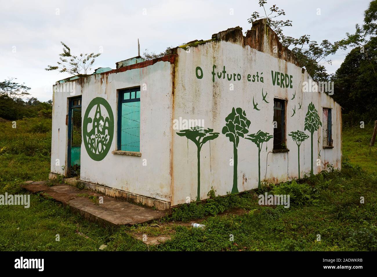 Avenir vert graffiti sur mur au Brésil Banque D'Images