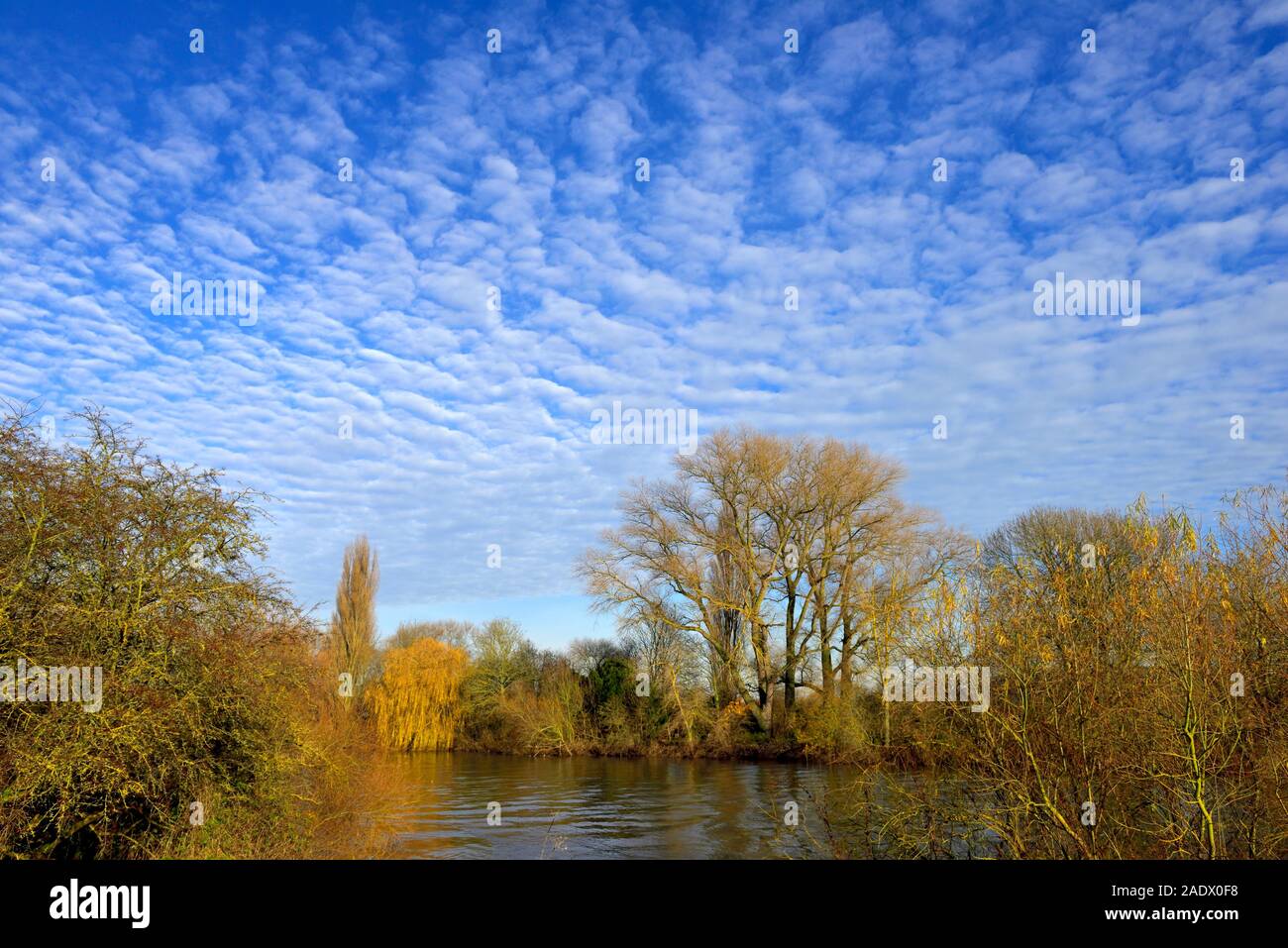 Les arbres d'automne sur la rive du fleuve,fleuve Trent, Nottingham, Angleterre, Royaume-Uni Banque D'Images Les arbres d'automne sur la rive du fleuve,fleuve Trent, Nottingham, Angleterre, Royaume-Uni Banque D'Images