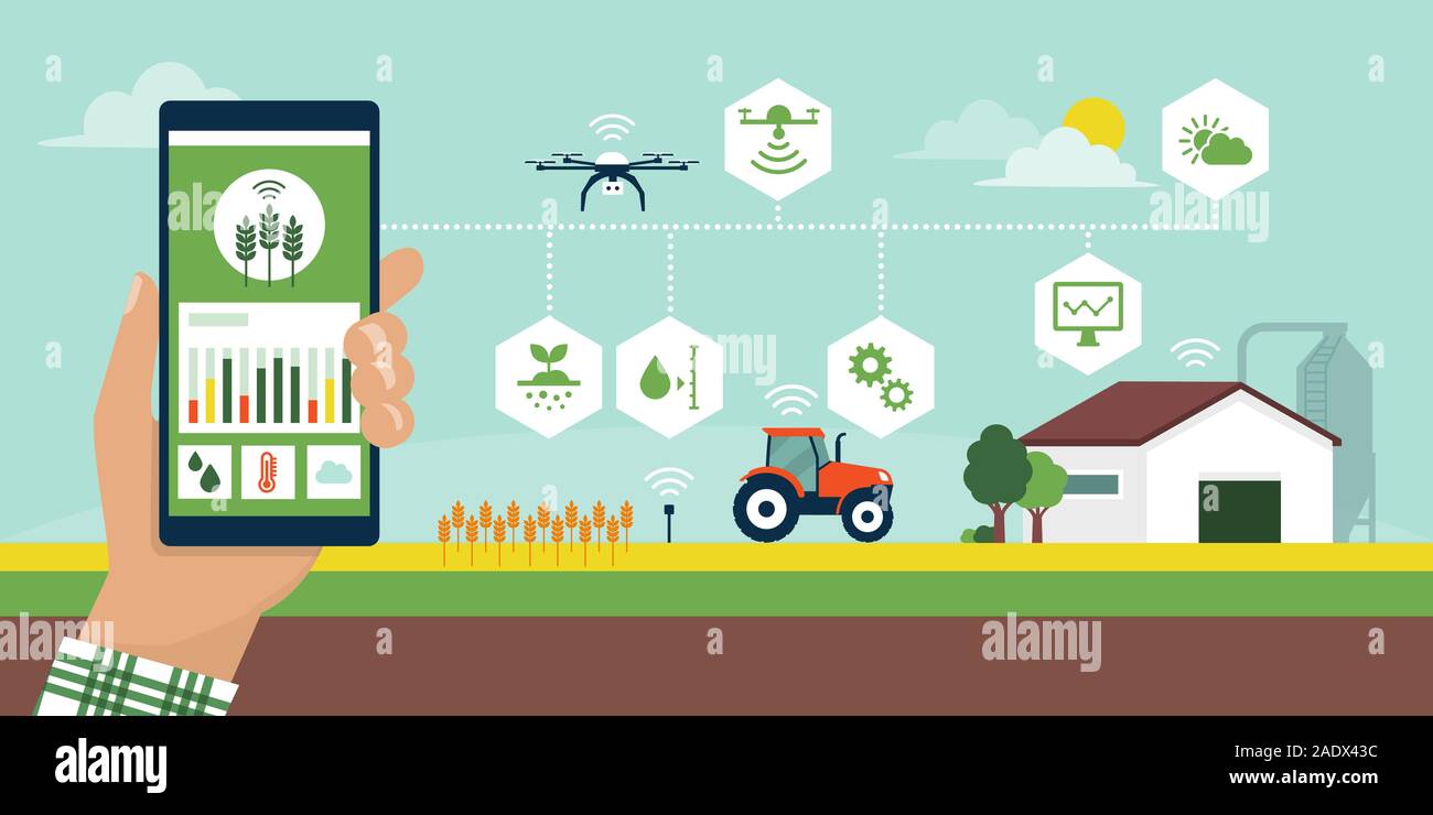 Agriculteur à la gestion de sa ferme industrielle à l'aide d'une application sur son smartphone, vecteur de l'agriculture intelligente infographie avec des icônes Illustration de Vecteur