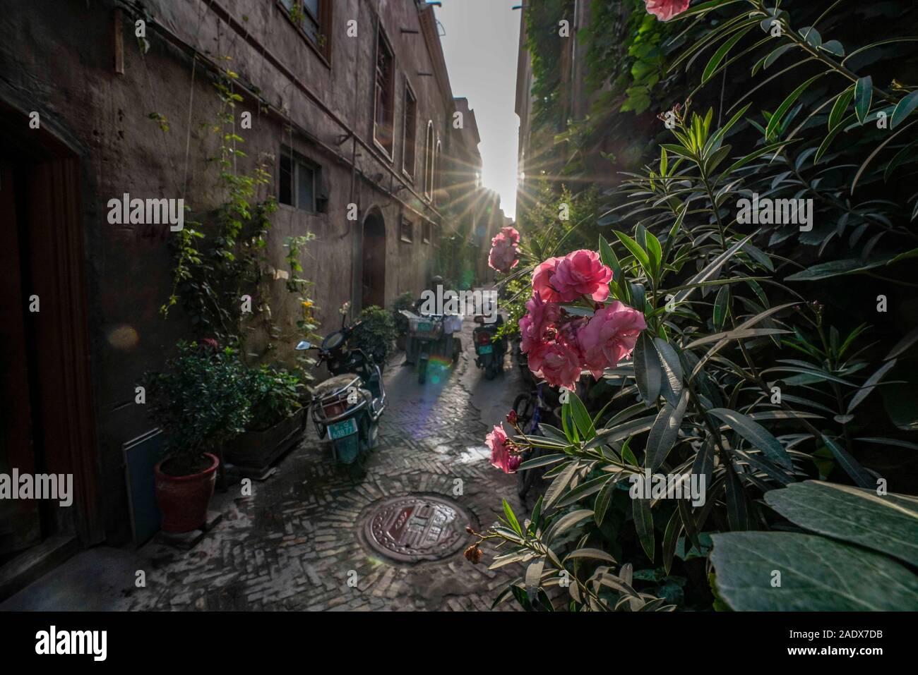 (191205) -- URUMQI, 5 décembre 2019 (Xinhua) -- Photo prise le 9 juillet 2019 montre une ruelle dans la vieille ville de Kashgar, dans la région autonome Uygur du Xinjiang. Une série de projets de logement dans 22 comtés pauvres dans le sud de la région autonome du Xinjiang Uygur ont bénéficié autour de 396 100 des ménages depuis 2018, non seulement en fournissant de meilleures maisons pour ceux qui vivaient autrefois dans les résidences minable mais aussi stimuler leur source de subsistance. Mesures, y compris toilettes 'révolution' et plantation de fleurs ont été effectuées dans ces villages frappés par la pauvreté. Basé sur l'expérience réussie je Banque D'Images