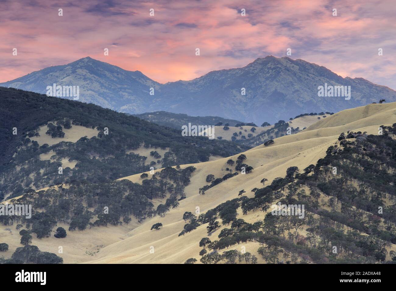 Mount Diablo vu depuis le sommet de Round Valley Regional Preserve sur un coucher de soleil d'été Banque D'Images