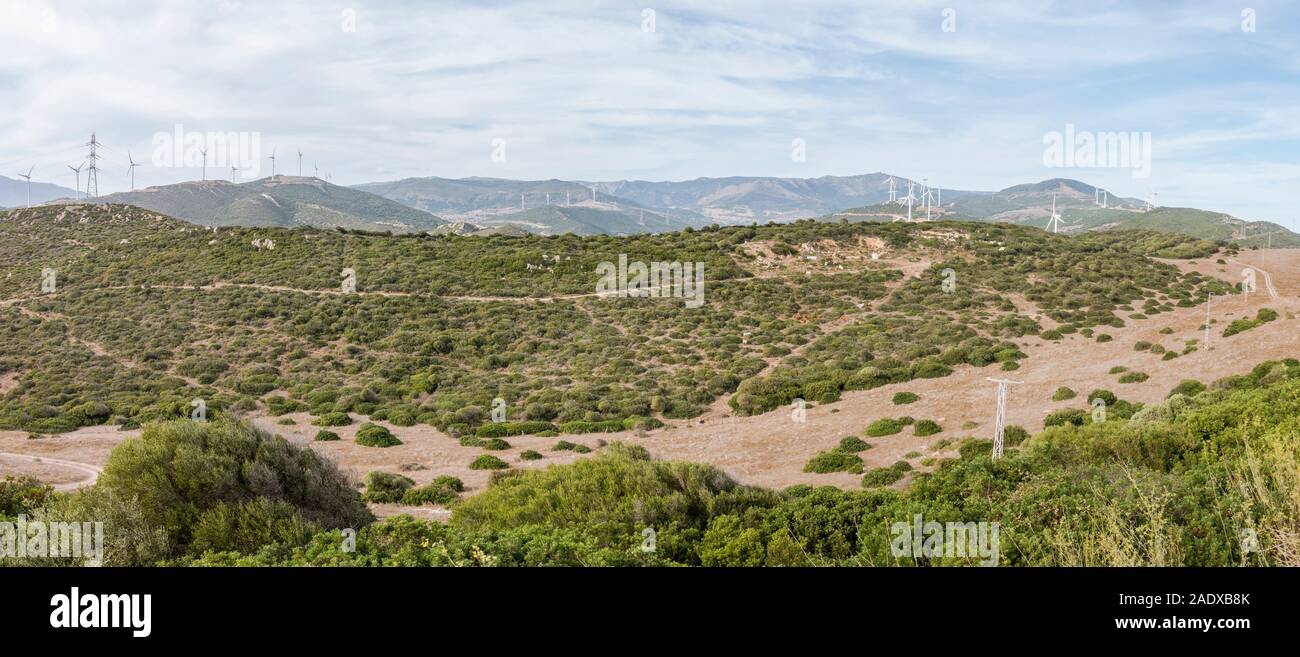 Vue panoramique à l'intérieur des terres, campagne de Tarifa, l'Observatoire d'oiseaux de Cazalla, avec les éoliennes, Tarifa, Andalousie, espagne. Banque D'Images