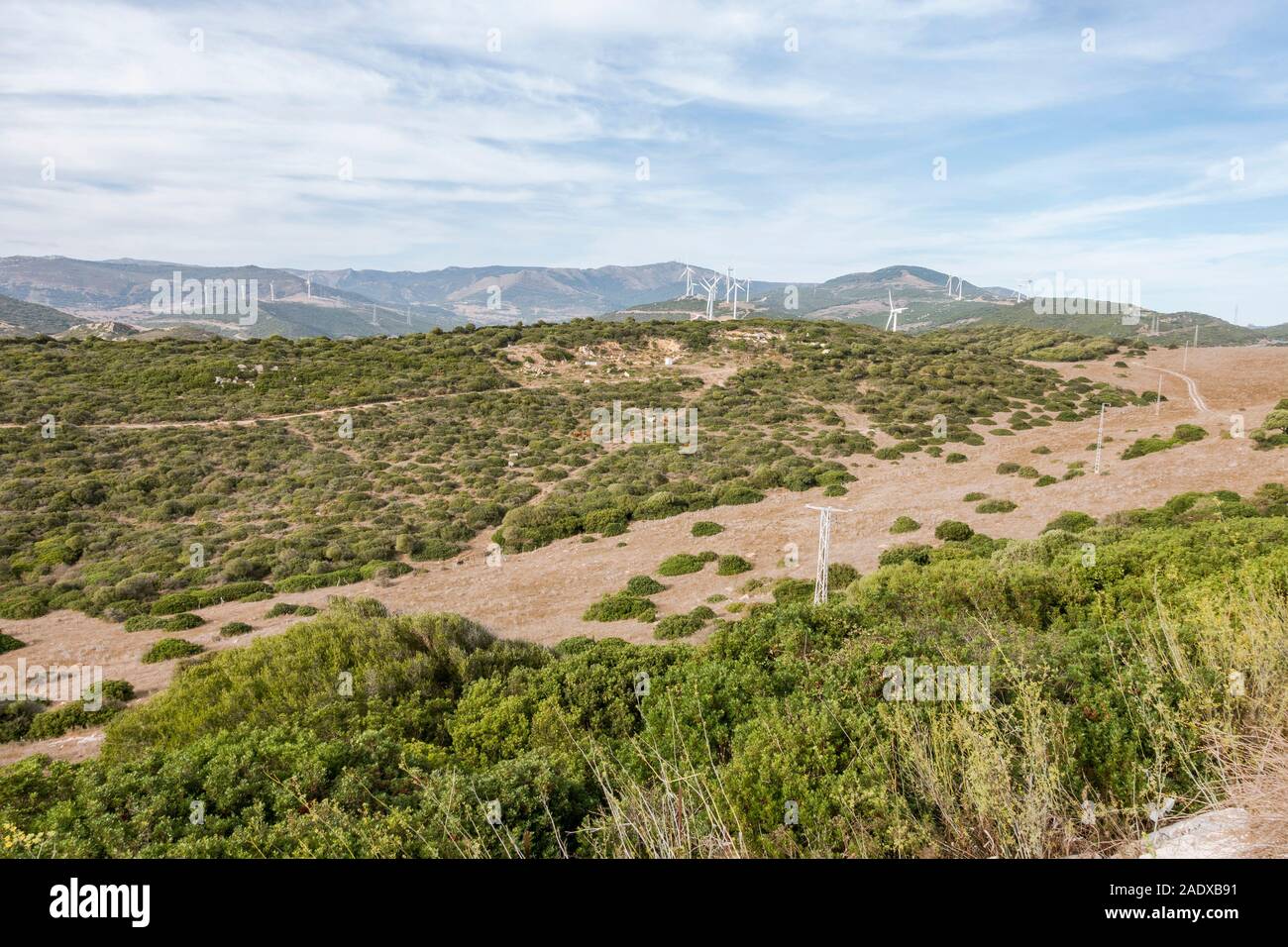 Voir l'intérieur des terres, campagne de Tarifa, l'Observatoire d'oiseaux de Cazalla, avec les éoliennes, Tarifa, Andalousie, espagne. Banque D'Images