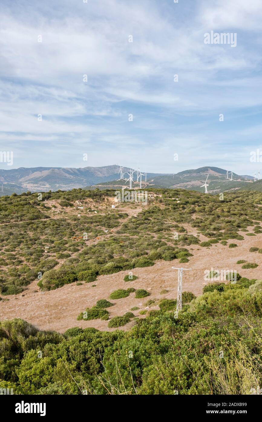 Voir l'intérieur des terres, campagne de Tarifa, l'Observatoire d'oiseaux de Cazalla, avec les éoliennes, Tarifa, Andalousie, espagne. Banque D'Images