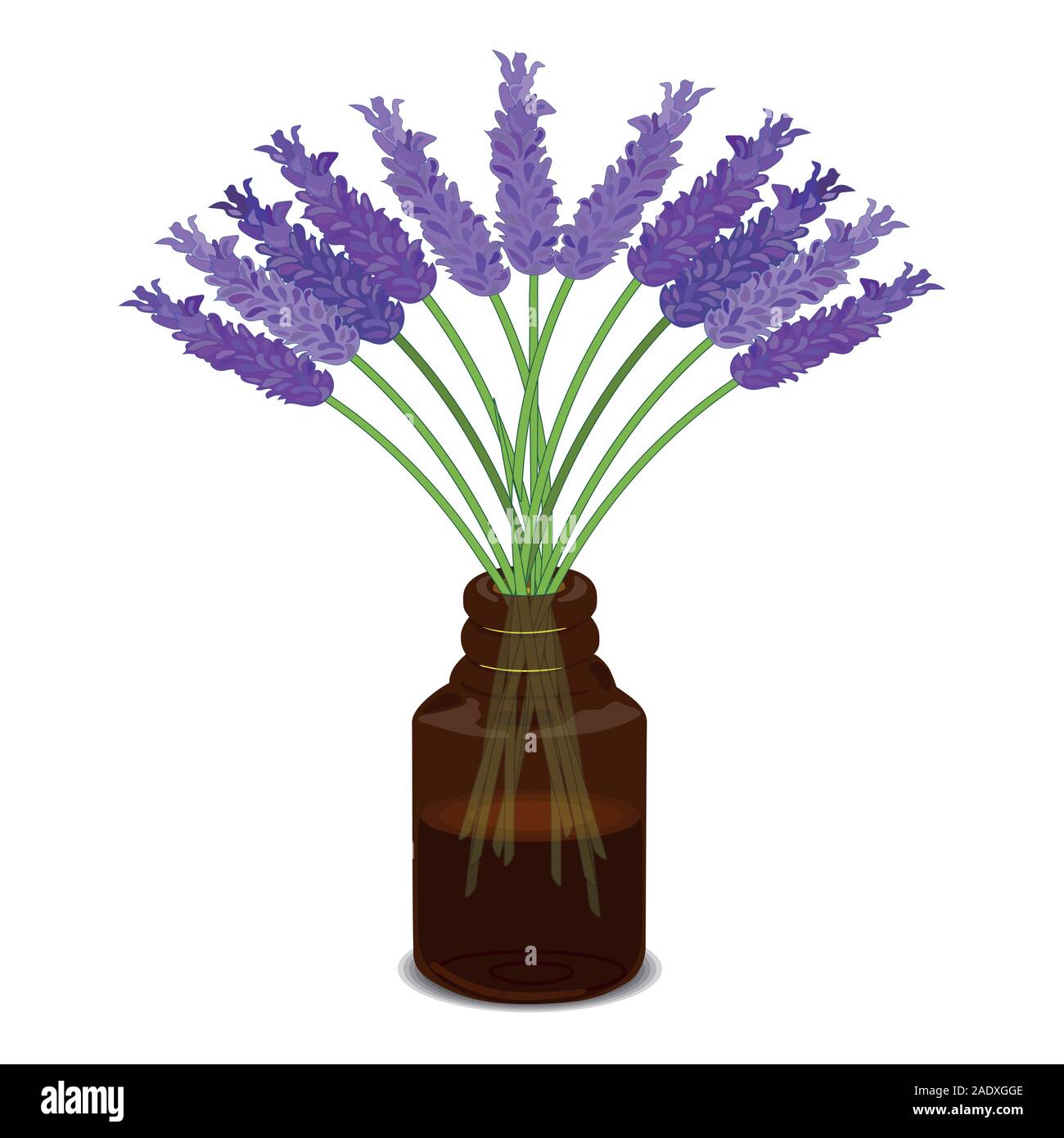 Bouteille d'huile essentielle de lavande à motif plat. Fleurs de lavande. Isolé, blanc. Vecteur Illustration de Vecteur