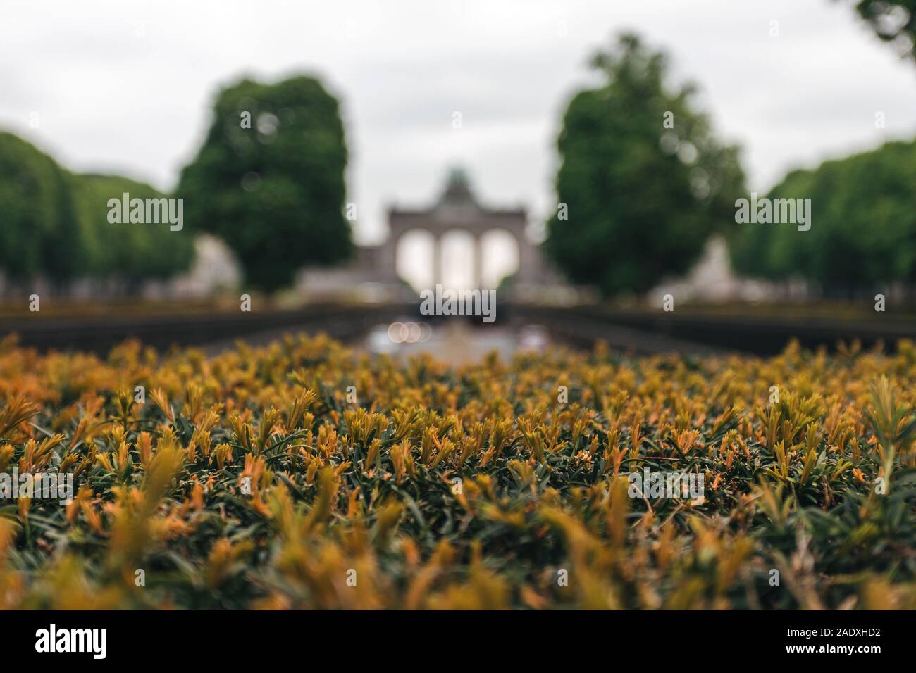 Bruxelles, Belgique. Célèbre arc de triomphe - l'entrée dans le parc du Cinquantenaire et le Parc du Cinquantenaire. Arrière-plan flou Banque D'Images