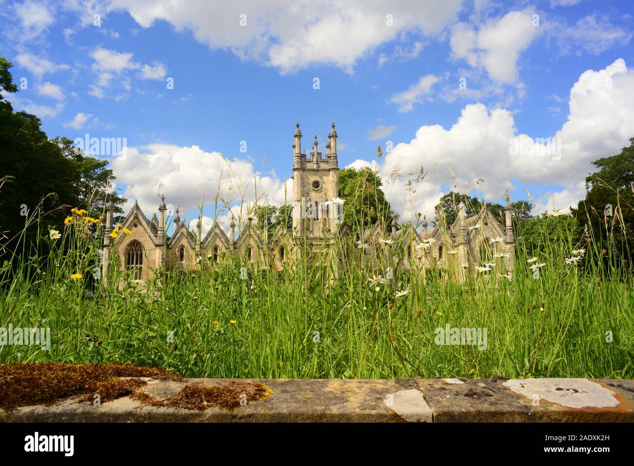 Fleurs sauvages par aberford hospices conçu par George fowler construit en 1844 par Elizabeth et Mary Isabella Gascoigne Aberford yorkshire uk Banque D'Images
