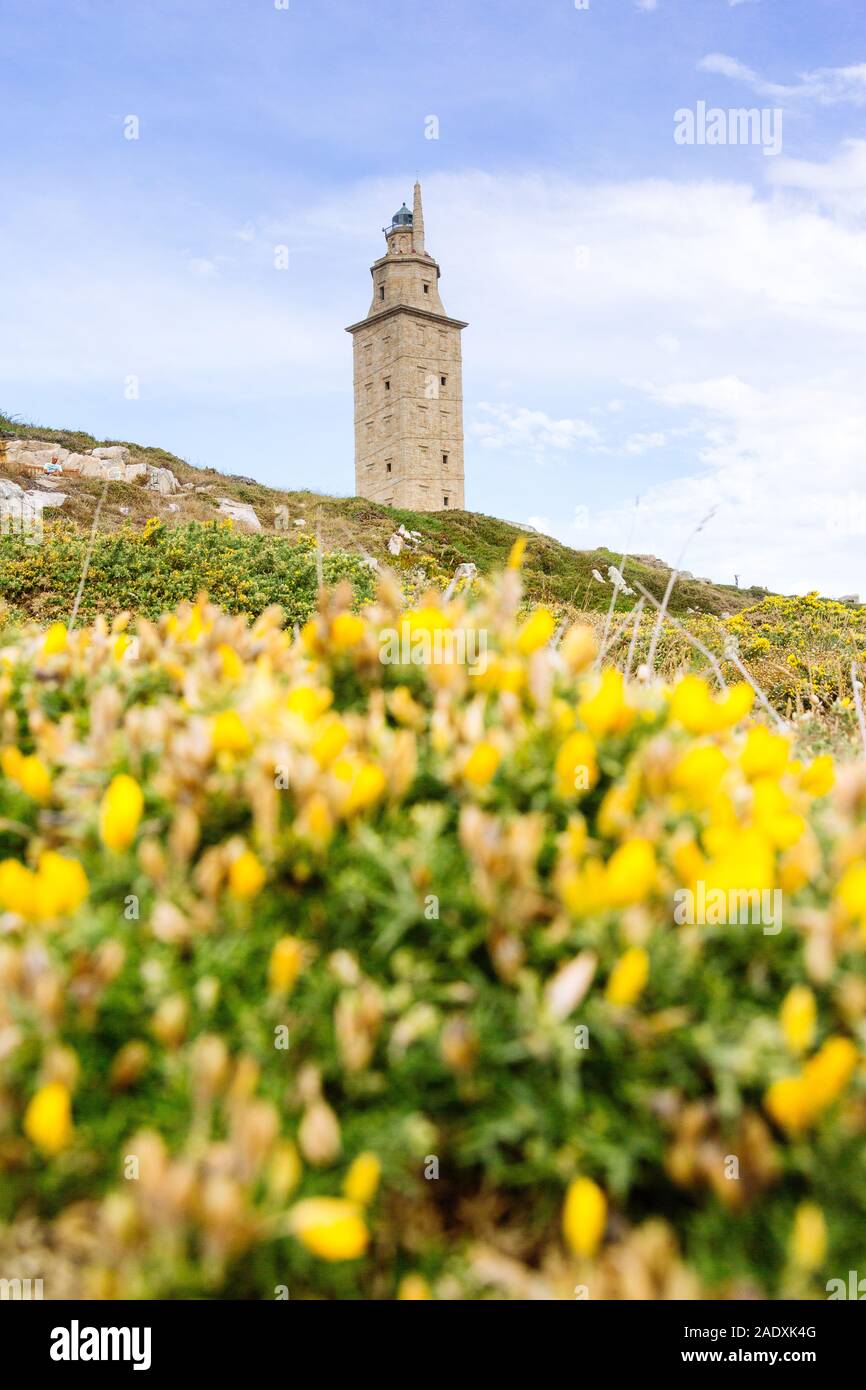 L'Espagne, la Galice, La Corogne. Torre de Hercules au coucher du soleil Banque D'Images