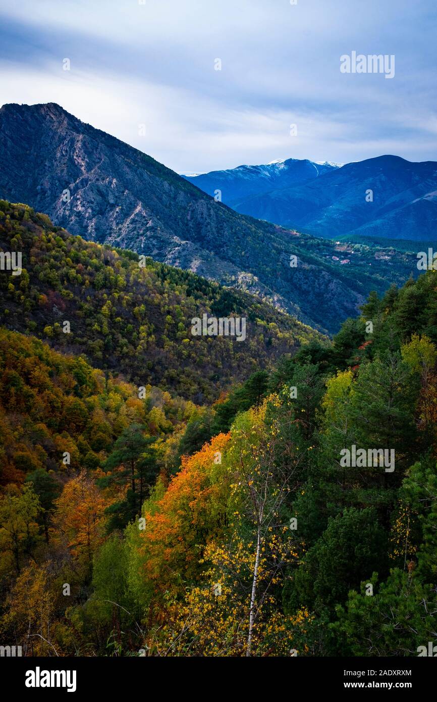 Couleurs d'automne dans les Pyrénées françaises,, près de Casteil, Pyrénées Orientales, France. Banque D'Images