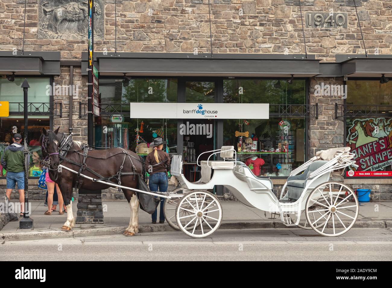 Une voiture de cheval dans la rue, devant un magasin de chiens, à Banff, en Alberta, au Canada Banque D'Images