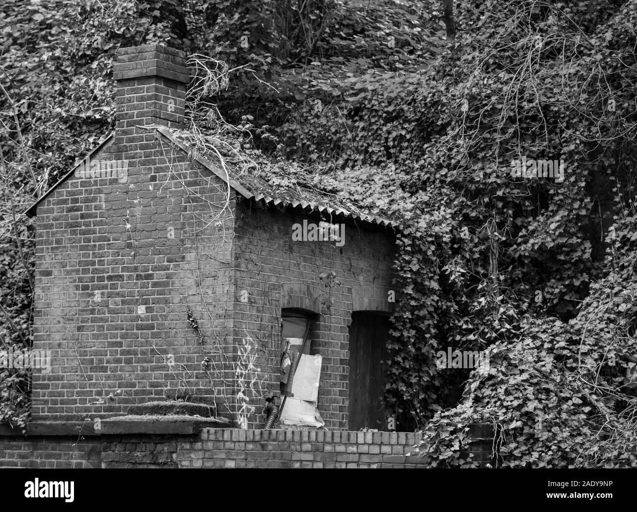 Brighton en Mars Banque D'Images