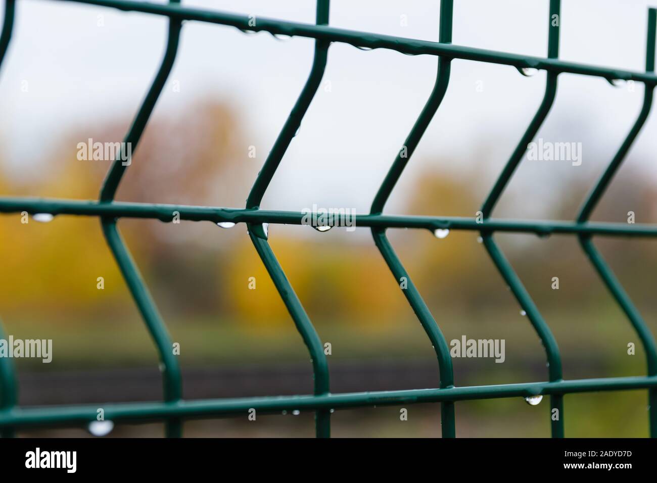 Gouttes de pluie sur une grille métallique. Clôture métallique vert close-up. Banque D'Images