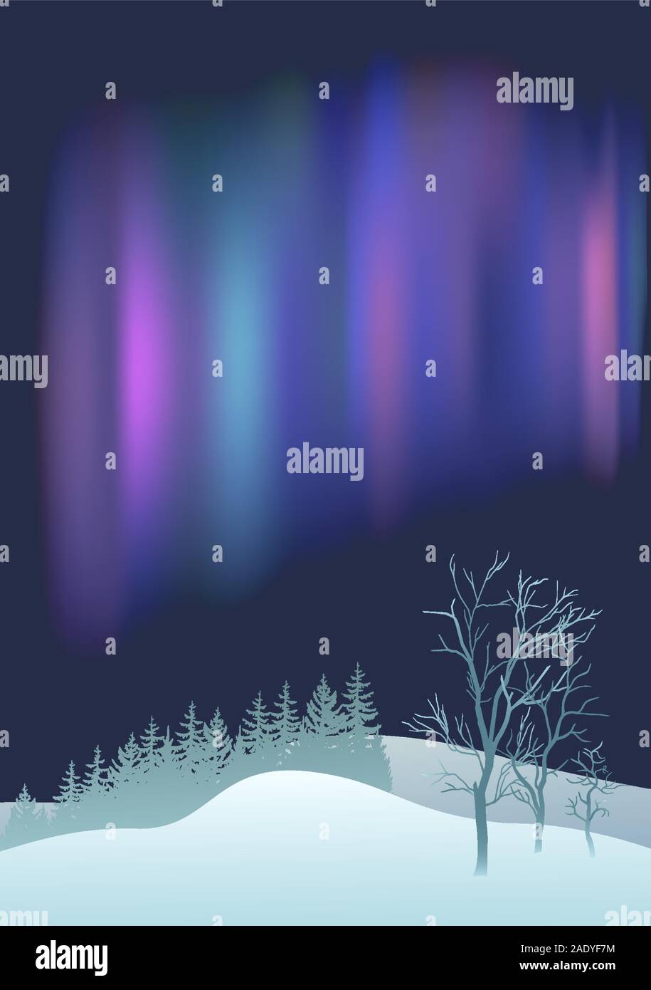 Northern Lights fantastique sur la pinède et champ d'hiver. Illustration de Vecteur