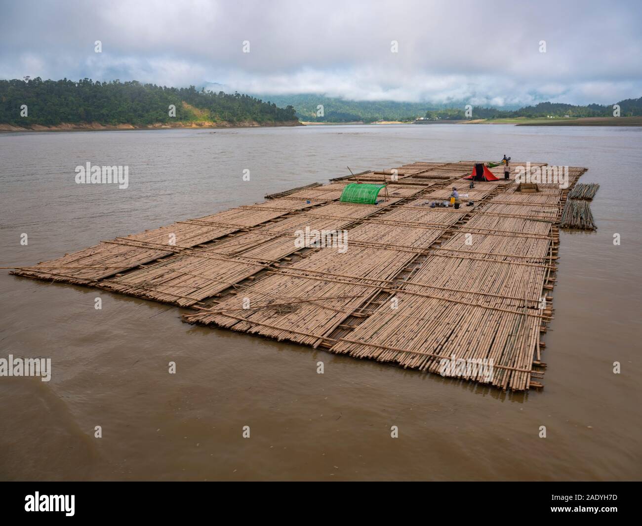 Faites de radeaux de bois d'exploitation forestière (avec un travailleur temporaire le logement dans les journaux) flotter dans la rivière Chindwin au bois d'yards dans le sud du Myanmar (Birmanie) Banque D'Images
