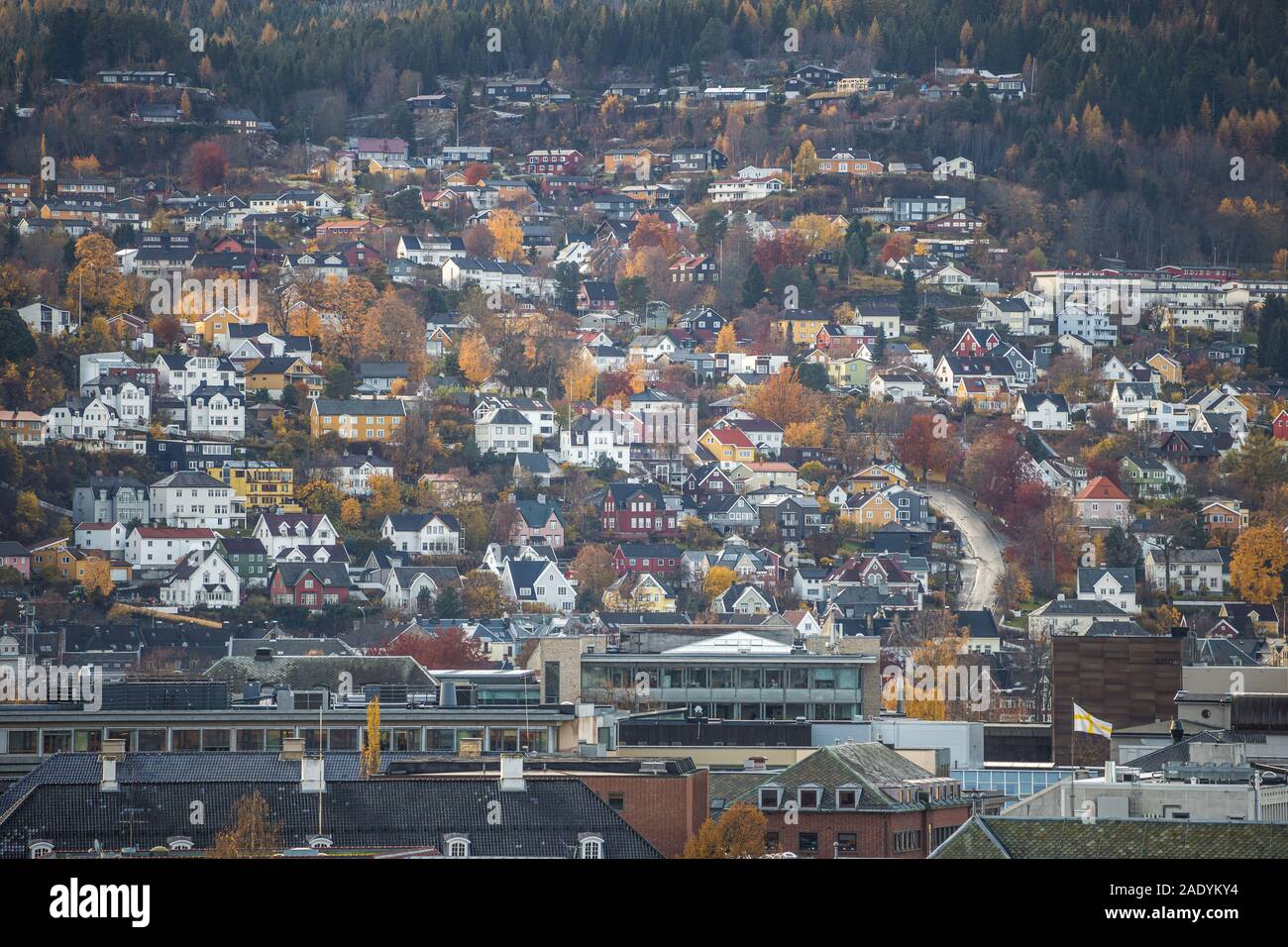 Architecture en bois scandinave, maisons colorées de Trondheim zone urbaine. Couleurs automnales. Banque D'Images