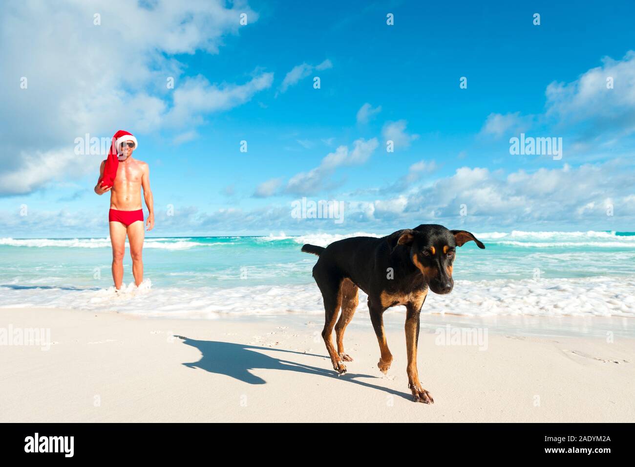 Man wearing Santa hat et de la comparaison d'une rouge de Noël mémoires debout avec un chien sur le bord d'une plage tropicale Banque D'Images