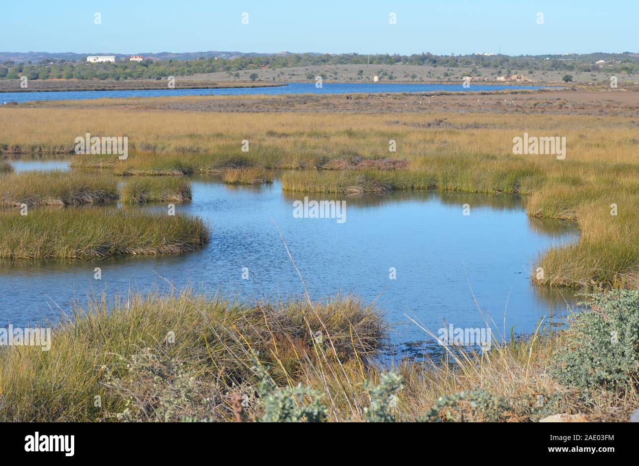 Marim-Vila Castro Real parc naturel (Algarve), la plus ancienne des zones humides protégées au Portugal Banque D'Images