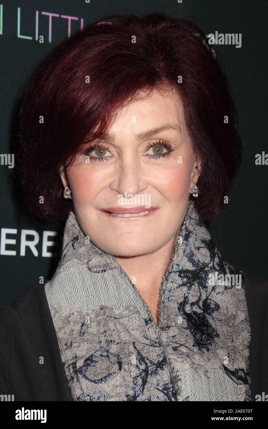 Sharon Osbourne 12/04/2019 Le Los Angeles Projection spéciale de "un million de petits morceaux' qui s'est tenue au London West Hollywood à Beverly Hills à West Hollywood, CA. Photo par I. Hasegawa / HNW / PictureLux Banque D'Images