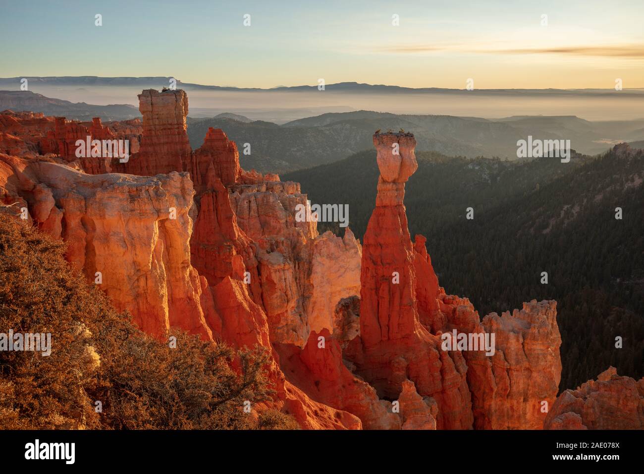Bryce Canyon National Park Utah Banque D'Images