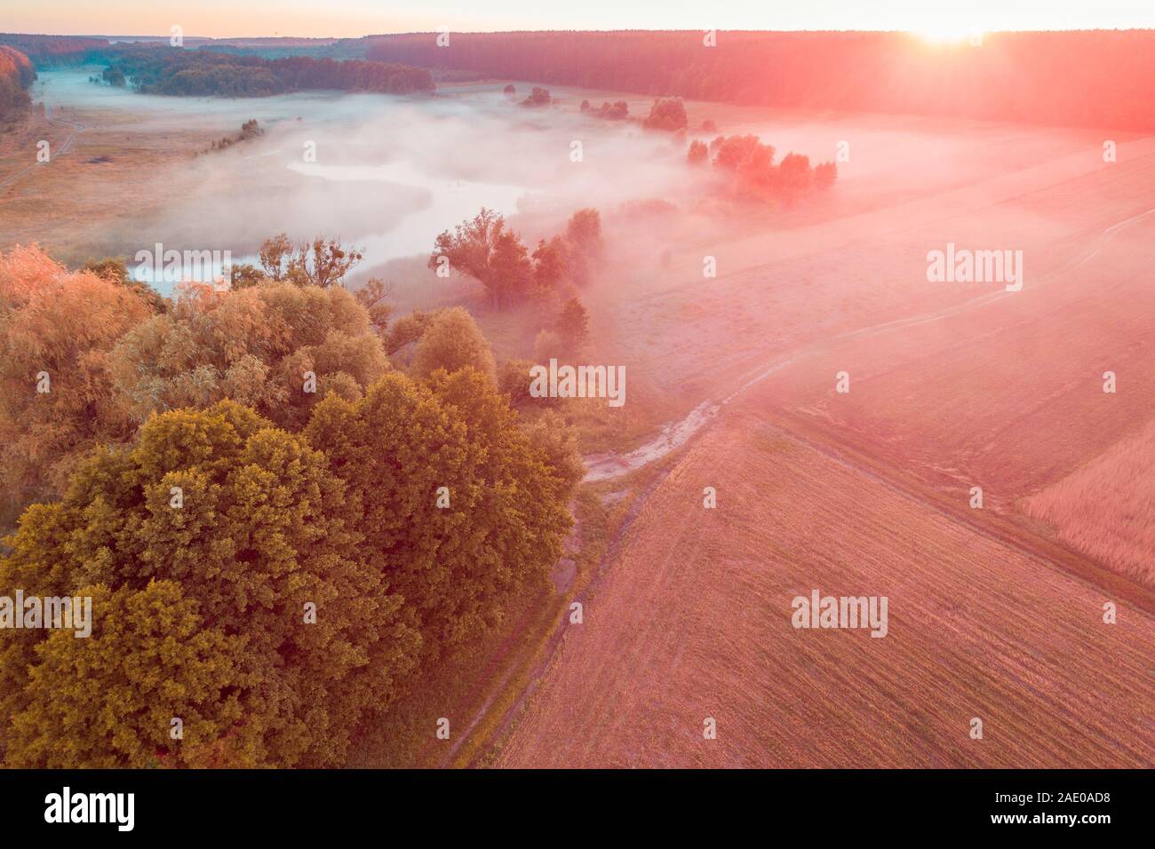 Early Misty morning. Lever du soleil sur le lac. Paysage rural en été. Vue aérienne Banque D'Images