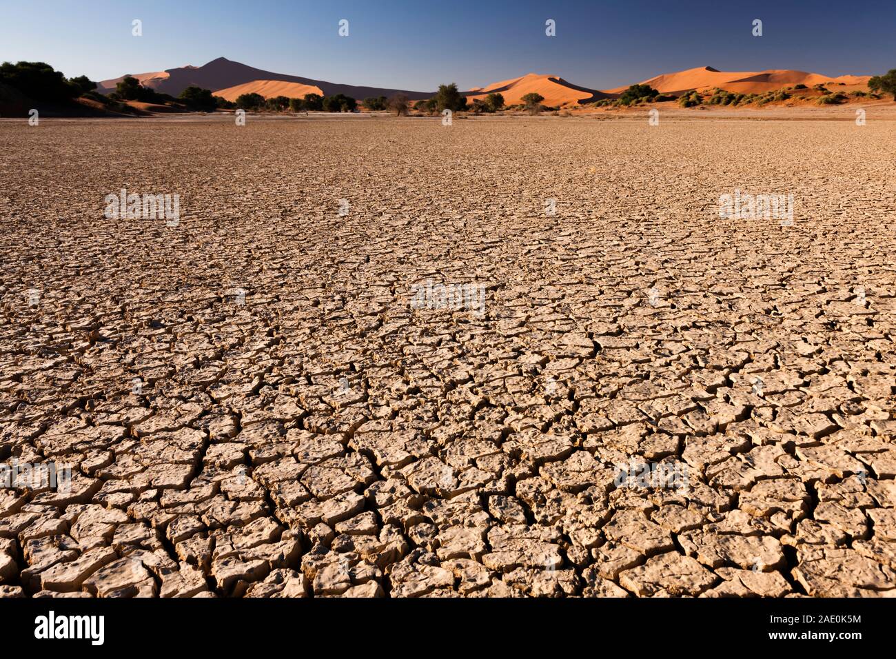 Lit du lac Cracked, à Sossusvlei, désert du Namib, parc national Namib-Naukluft, Namibie, Afrique australe, Afrique Banque D'Images