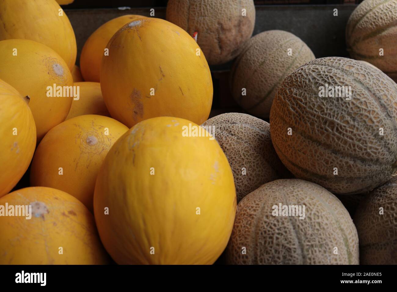 Les Melons divers Banque D'Images