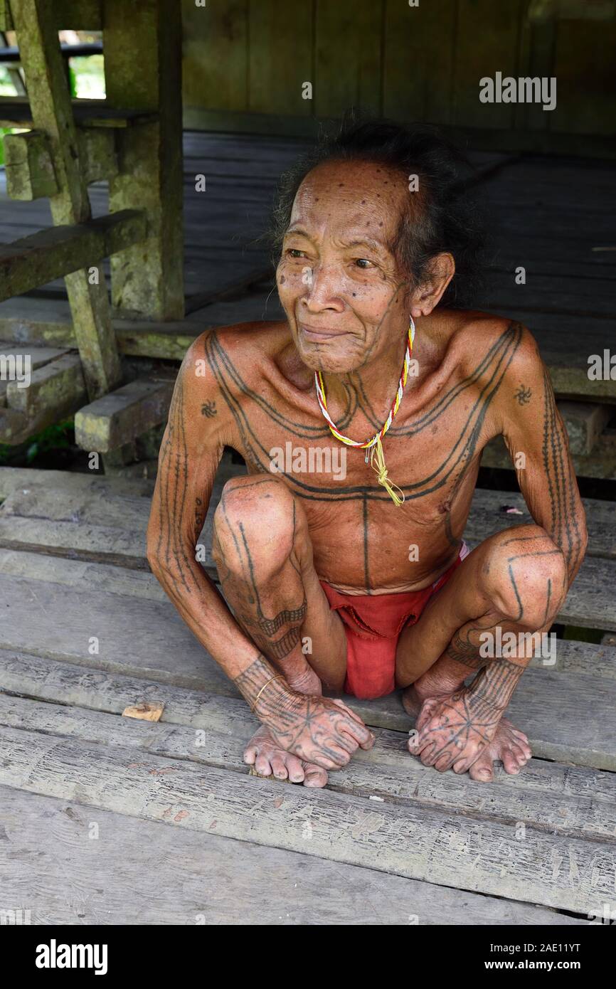 Muara Siberut, îles Mentawai, en Indonésie, le 5 novembre, 2019 : Portrait d'un aîné tribal homme - shaman, avec tatouages traditionnels, à sa forêt tropicale à la maison. Banque D'Images