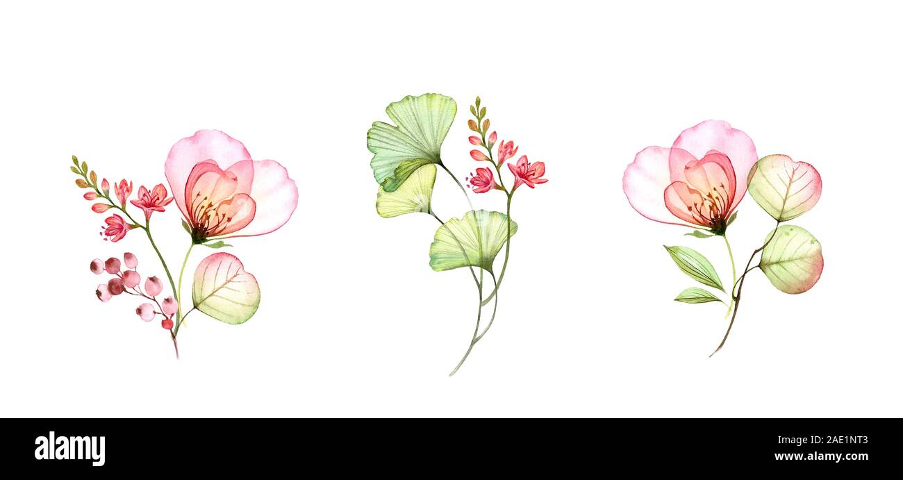 Rose transparent aquarelle bouquets. Collection de fleurs colorées isolé sur blanc. Illustrations florales botanique pour les invitations de mariage Banque D'Images