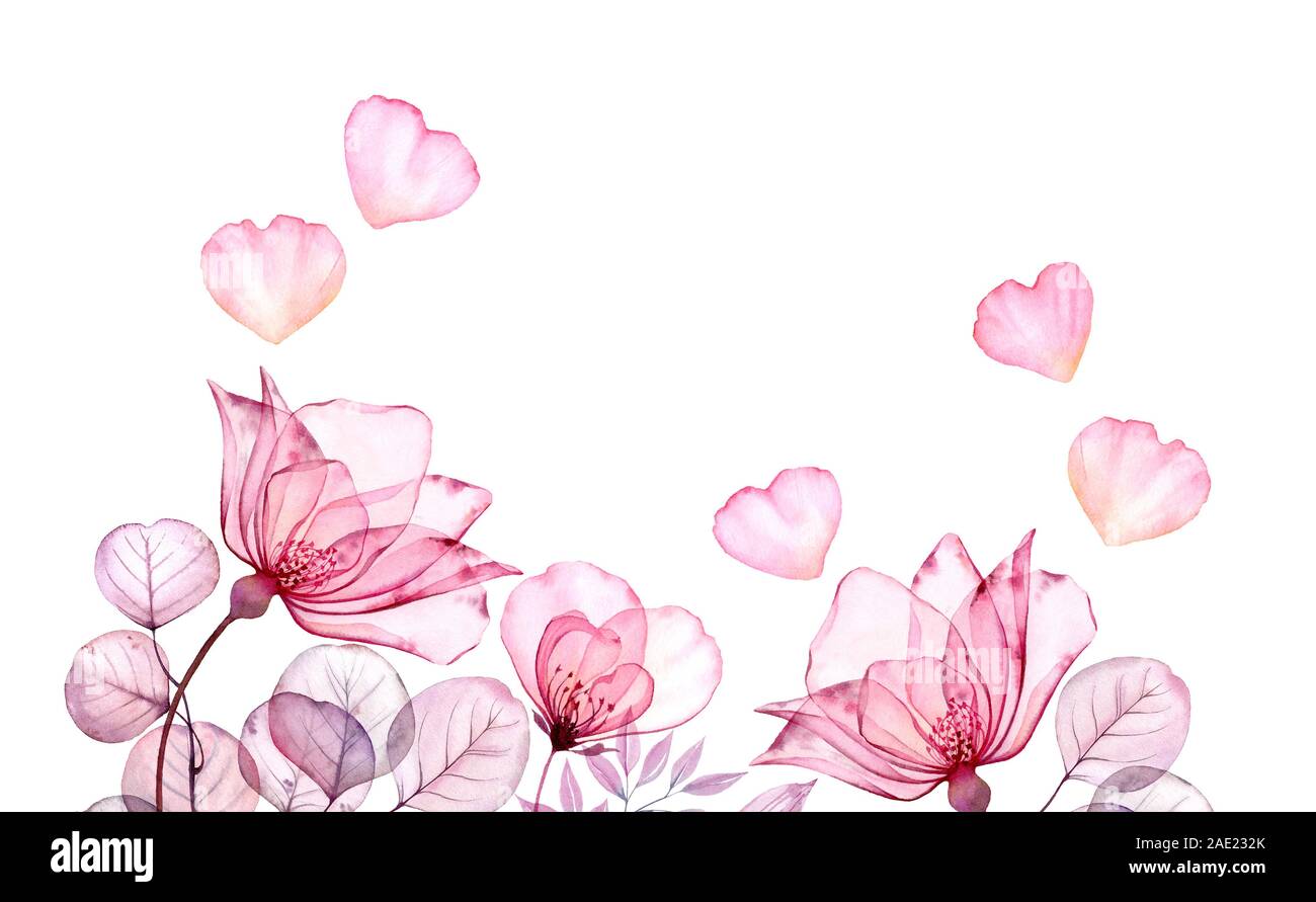 Aquarelle floral background avec des roses et de la place pour le texte. Fleurs pétales transparents avec le vol isolé en blanc. Fond floral botanique pour Banque D'Images
