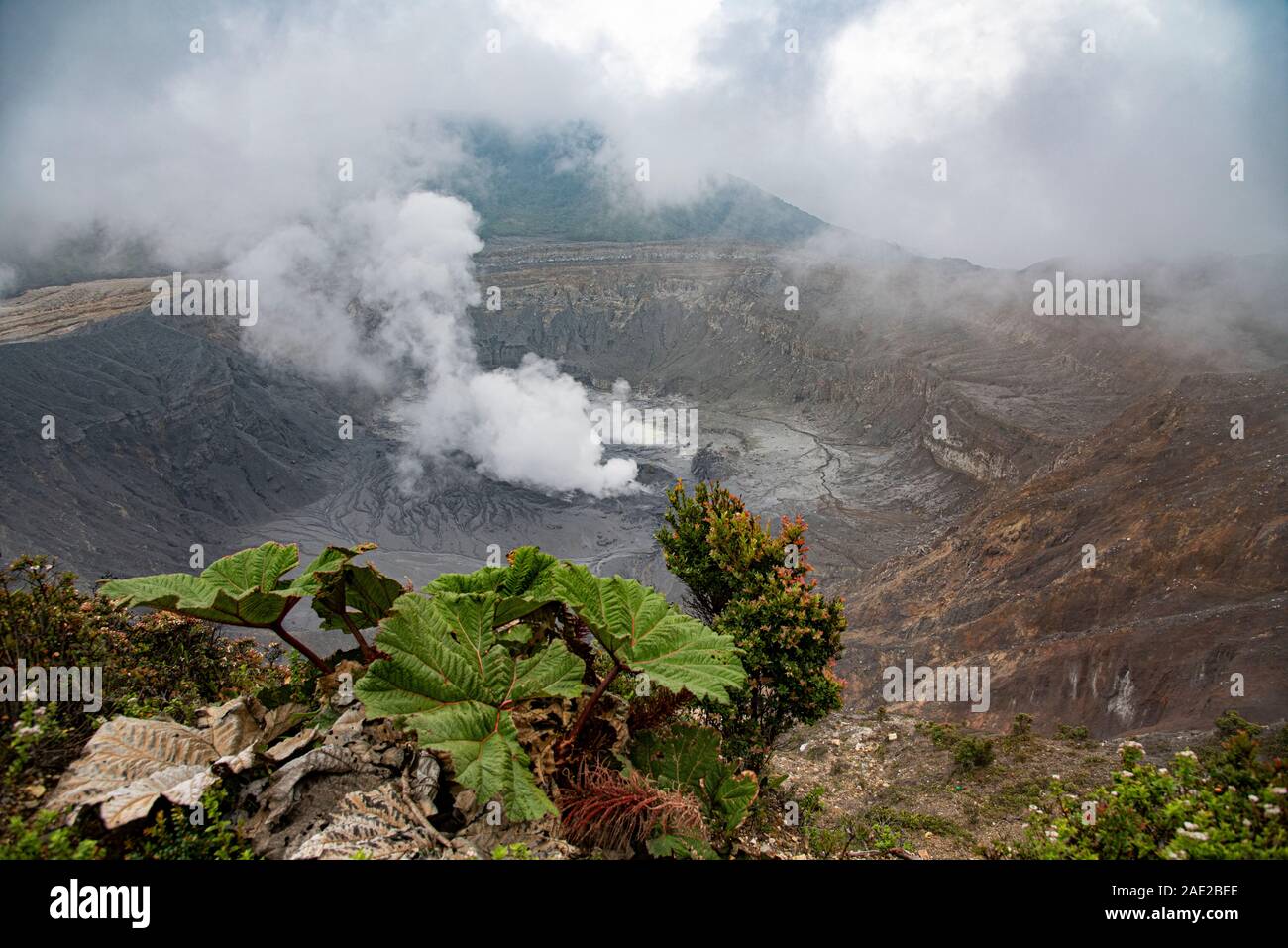 Le Volcan Poas, au Costa Rica. Banque D'Images