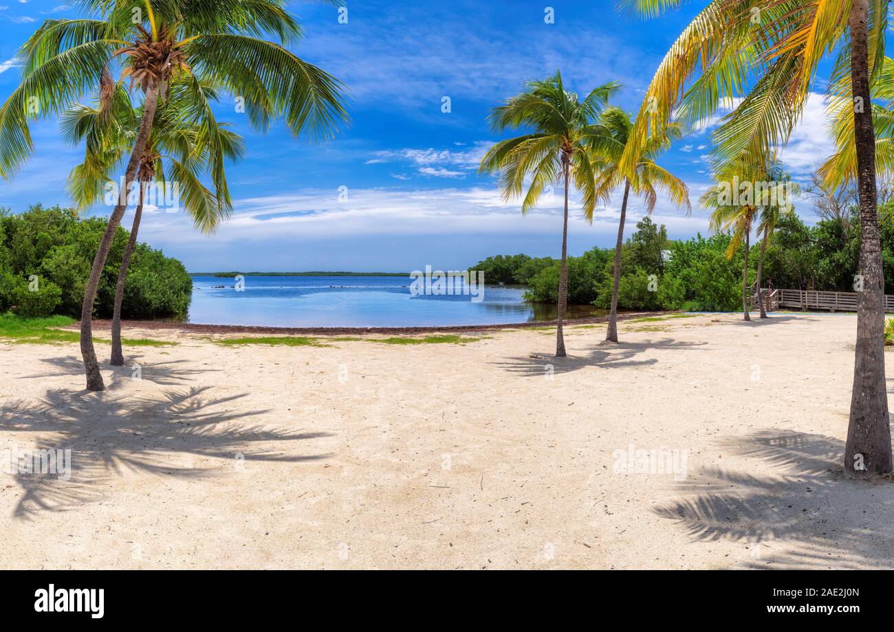 Florida Keys beach Banque D'Images