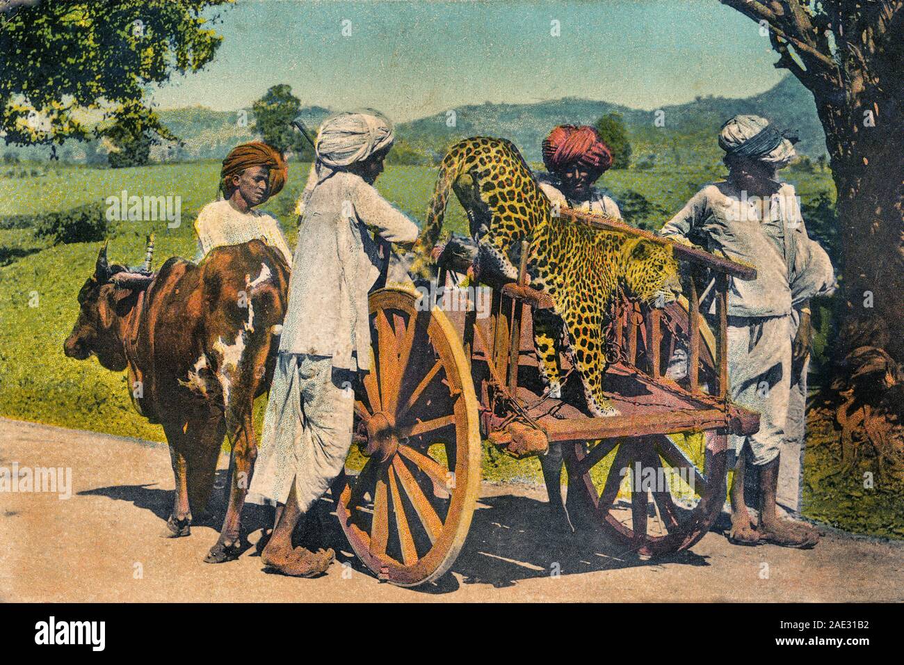 11 Mar 2011 Vintage teinté à la main une photo de guépard chasse utilisé pour la chasse en Inde Banque D'Images