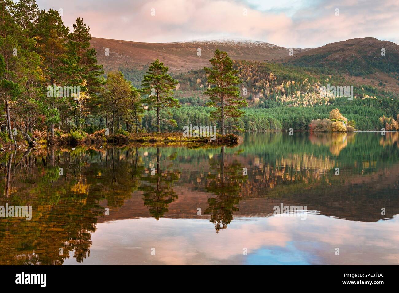 Loch an Eilein un petit lac à Rothiemurchus Forest dans le Parc National de Cairngorms Banque D'Images