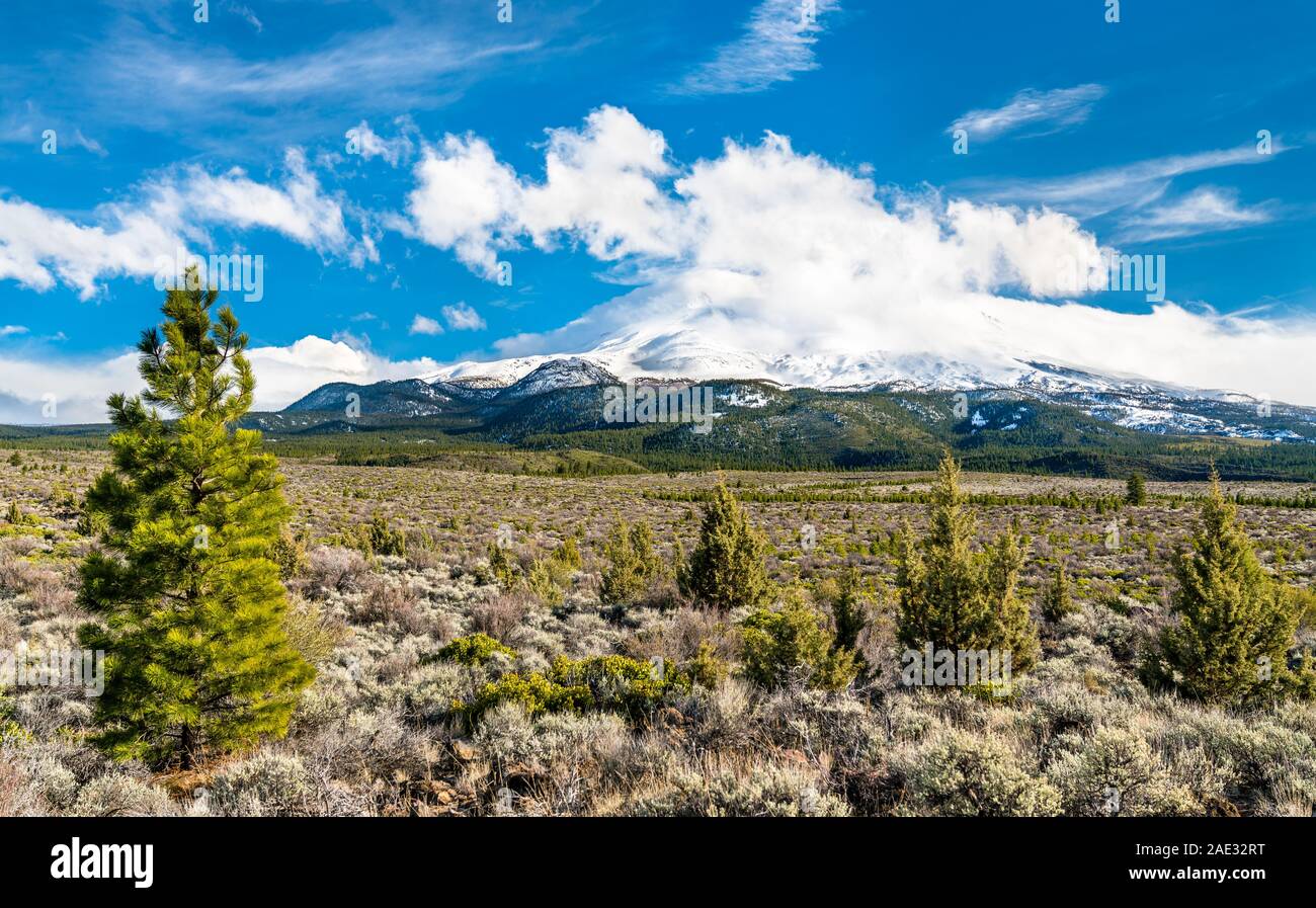 Vue du Mont Shasta en Californie du Nord Banque D'Images