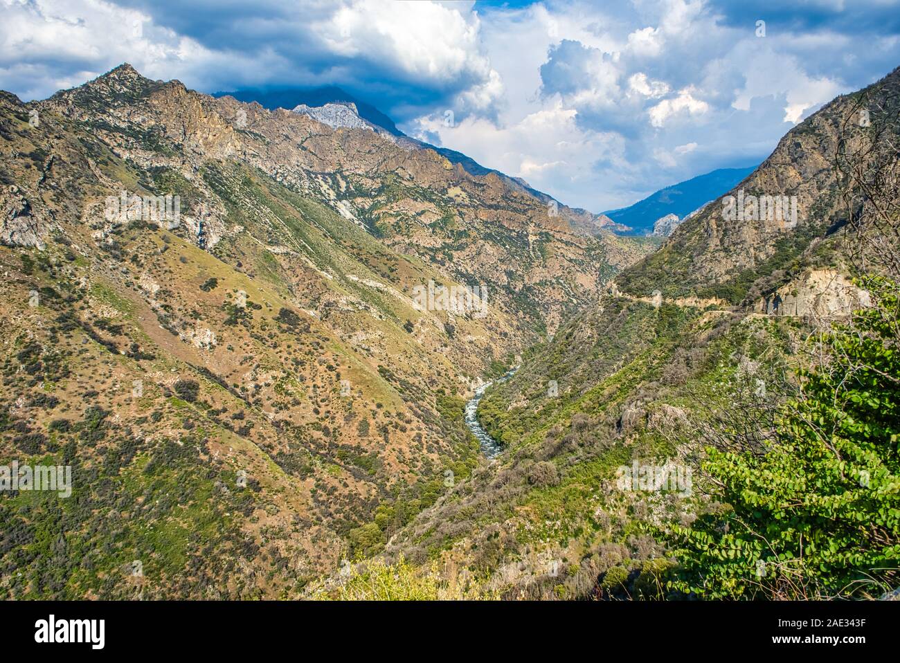 Dans la vallée de la Forêt Nationale de Sequoia,California,USA Banque D'Images