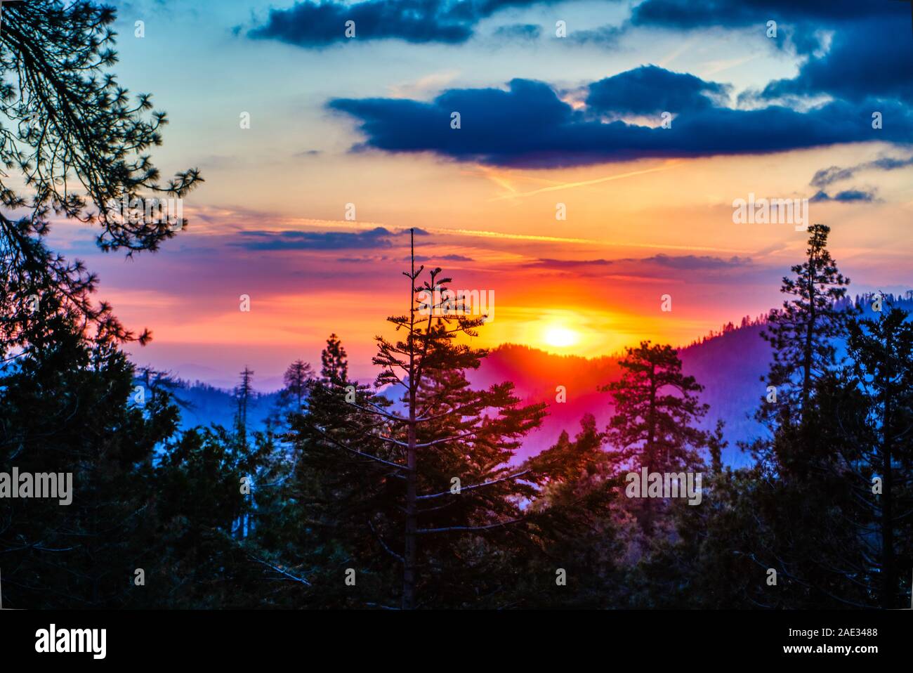 Coucher du soleil à Sequoia National Forest,California,USA Banque D'Images