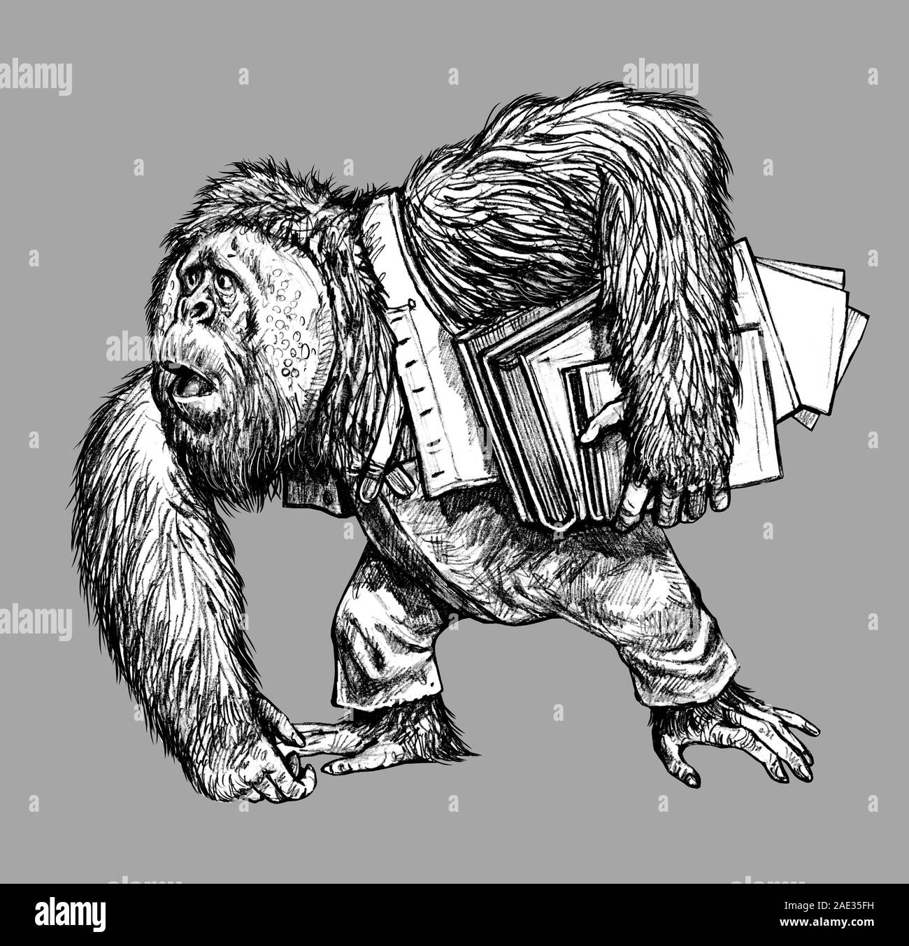 Drôle de dessin à l'orang-outang. Un grand singe avec des livres. Banque D'Images