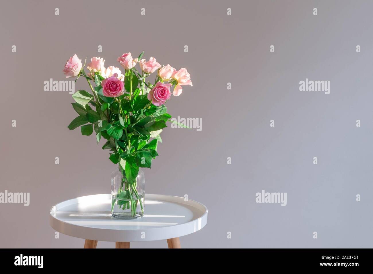 Des roses rose pastel vase en verre sur table de café blanc sur fond neutre. Banque D'Images