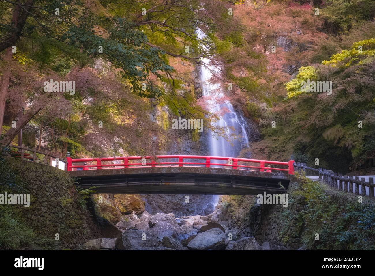 Cascade de Minoo Saison d'automne avec la chute des feuilles d'érable rouge et feuillage rouge magnifique pont. (Parc Minoo, Osaka, Japon). Banque D'Images