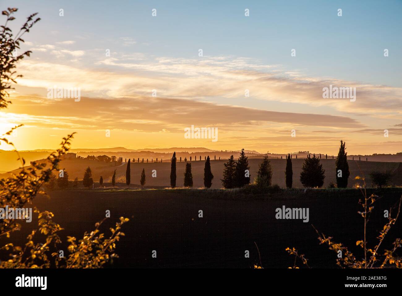 Toscana cypress silhouette dans la soirée Sunset Sky Pienza Paysage Italie Banque D'Images