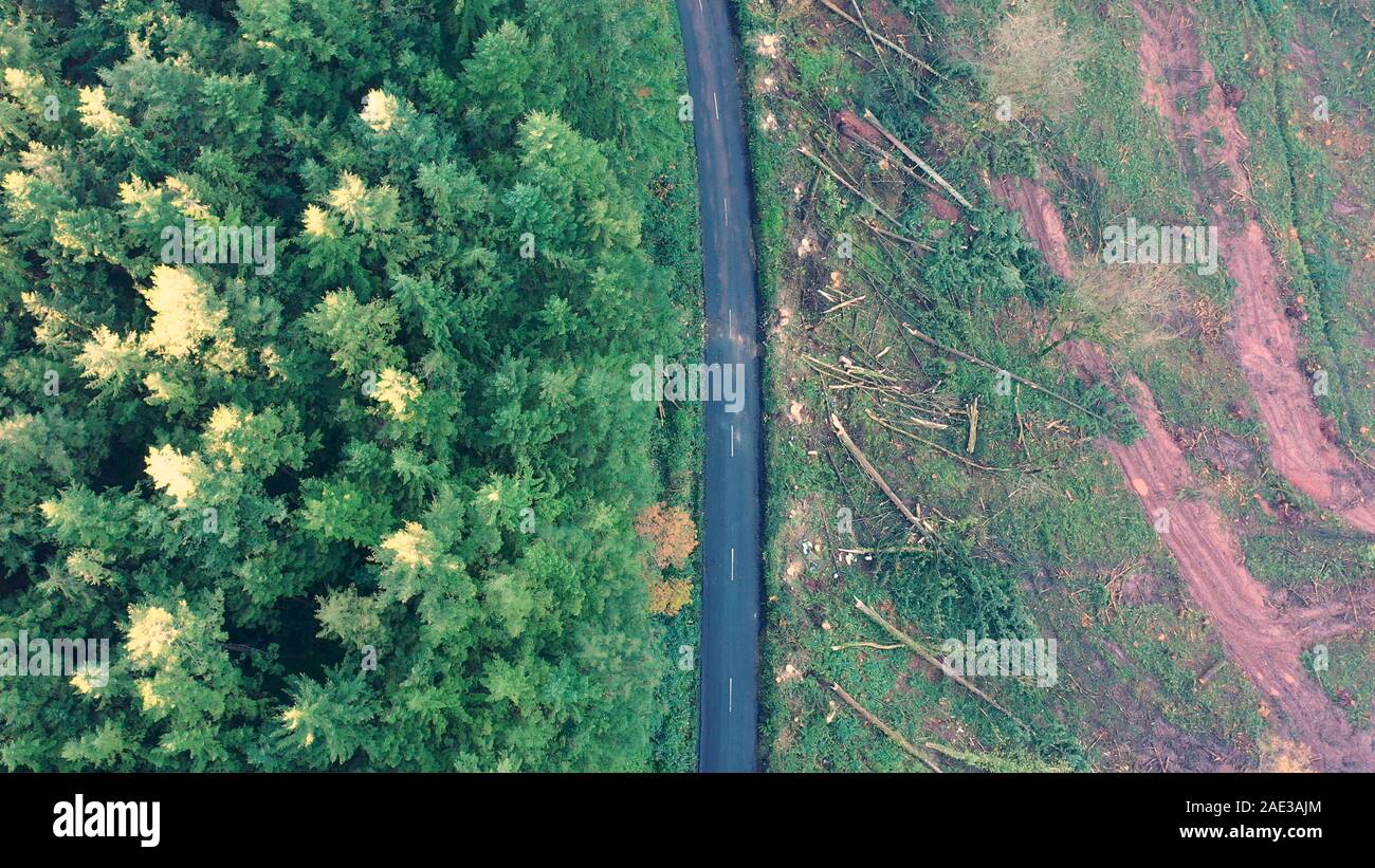 Vue aérienne d'une route à travers une forêt qui a été détruit par la déforestation Banque D'Images