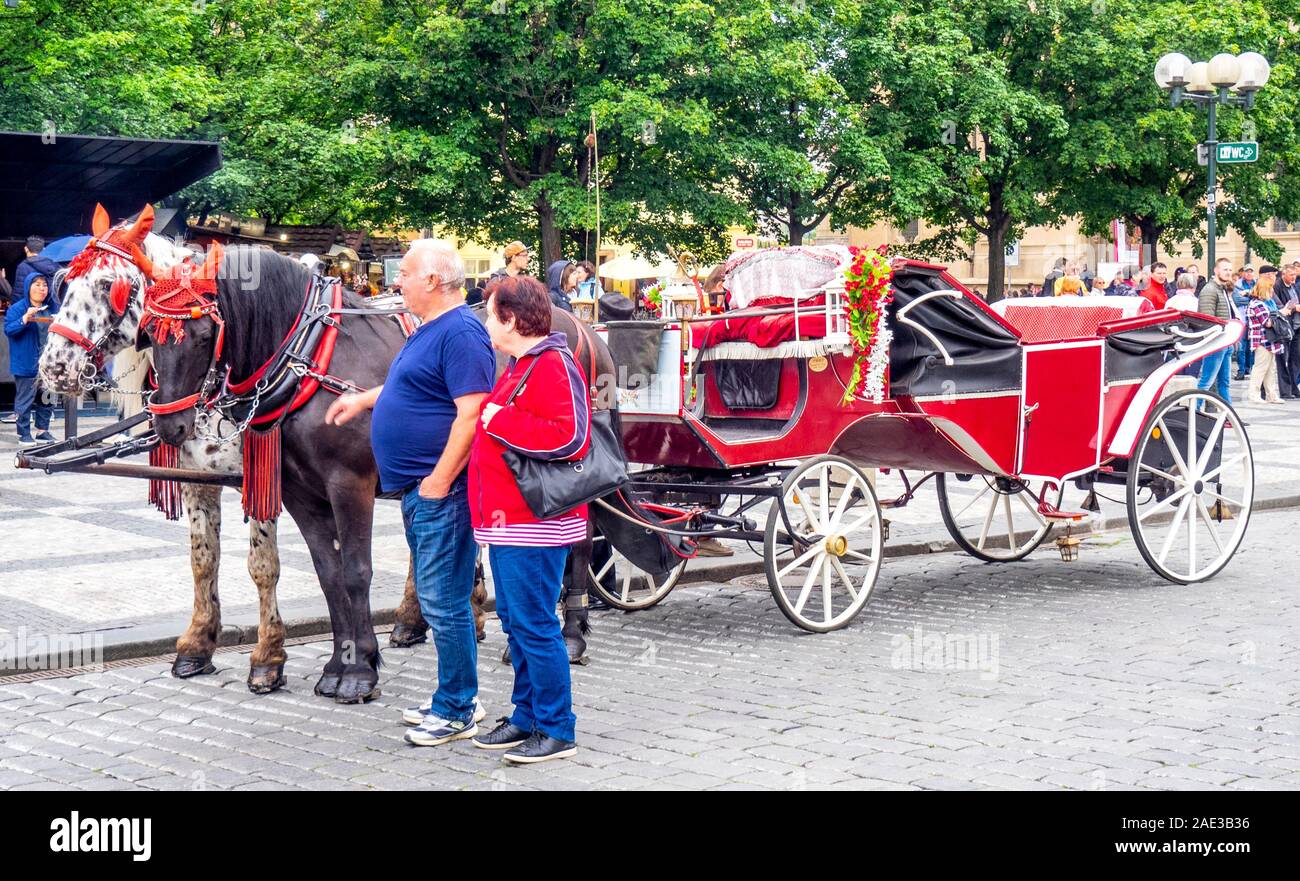 Tourist couple debout à côté de chevaux et le transport dans la place de la Vieille Ville Prague République tchèque. Banque D'Images