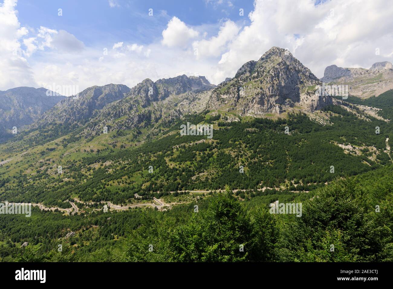 Paysage fertile dans les Alpes dinariques avec forêts vertes sur la route de Shkodar à theth en Albanie Banque D'Images